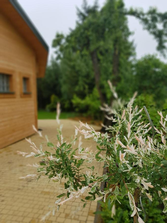 KraśnikKosiedlisko别墅 外观 照片