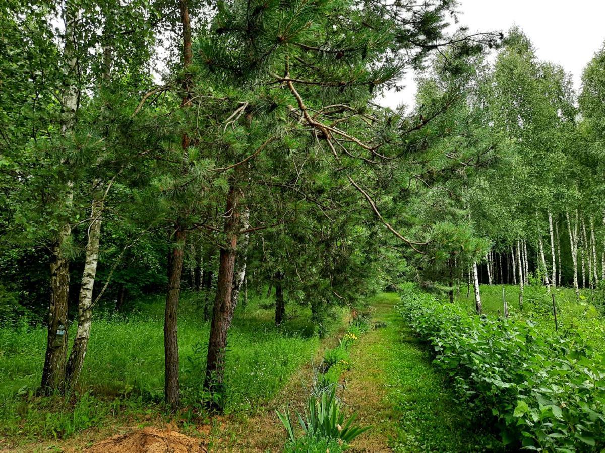KraśnikKosiedlisko别墅 外观 照片